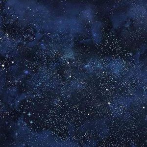 Meet your Posher, Lydia